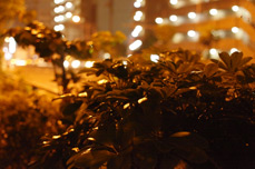 Sample photo