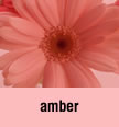 amber