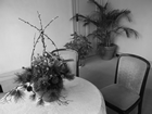 BLACK-AND-WHITE
