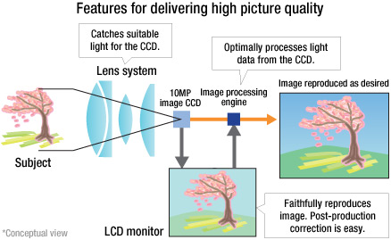 Features for delivering high picture quality