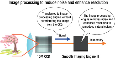 Image processing to reduce noise and enhance resolution