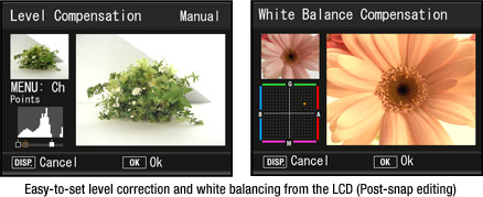 Easy-to-set level correction and white balancing from the LCD (Post-snap editing)
