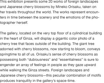 This exhibition presents some 20 works of foreign landscapes and Japanese cherry blossoms by Mineko Orisaku, taken on her travels throughout the world. The works represent encounters in time between the scenery and the emotions of the photographer herself. The gallery, located on the very top floor of a cylindrical building in the heart of Ginza, will display a gigantic color photo of a cherry tree that faces outside of the building. The giant tree adorned with cherry blossoms, now starting to bloom, conveys springtime to all of us. Orisaku’s sense of cherry blossoms as possessing both “dubiousness” and “essentialness” is sure to engender an array of feelings in people as they gaze upward while walking the Ginza streets. Foreign landscapes and Japanese cherry blossoms—this peculiar combination of motifs produces tranquility in the gallery’s space-time.