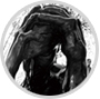 Eikoh Hosoe: The Human Rodin Exhibition