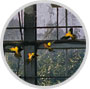 Hiroko Momose Photo Exhibition “World/Blossoming through Tears”