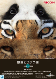 The notice for the Ginza Zoo Photo Exhibition