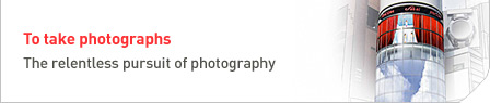 The relentless pursuit of photography
