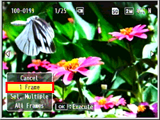 5 Press the [ADJ./OK] button up and down to select [1 Frame]. Press the [ADJ./OK] button to the right and left to select the frame that you want to save as a still image.