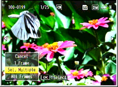 5 Press the [ADJ./OK] button up and down to select [Sel Mult] and then press the [ADJ./OK] button. (Skip this Step if you selected thumbnail view in Step 2 by turning the zoom lever to the right (Enlarged View).)