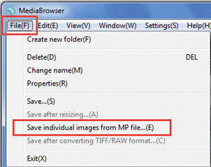File > Save individual images from MP file...