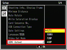 HDMI output