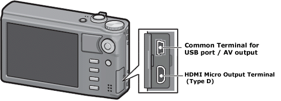 Terminals of the camera