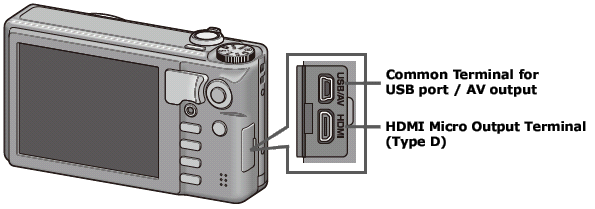 Terminals of the camera