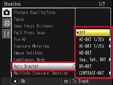 Auto bracket