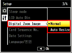 Digital zoom image option