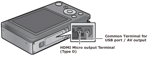 Terminals of the camera