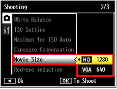 movie size