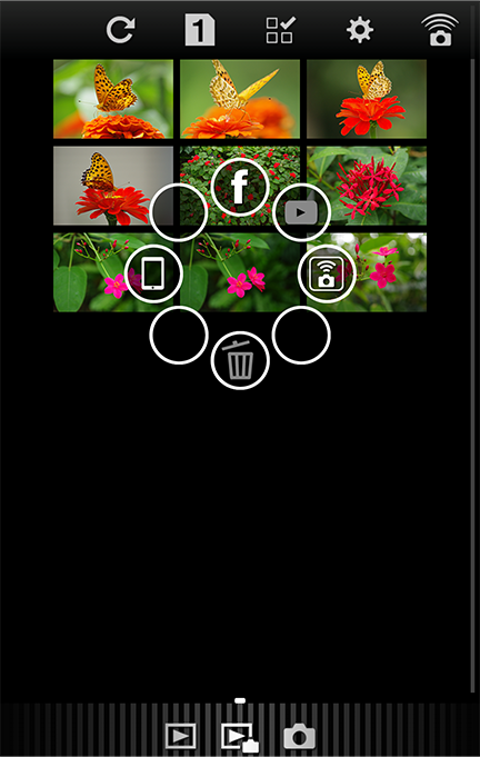 Camera Image View Mode