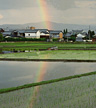 「里にかかる虹」重野　幸江