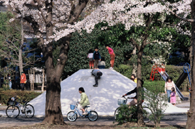 特選「春の歓び」岡本 隆幸／MZ-S・smc PENTAX-FA*80-200mmF2.8ED［IF］