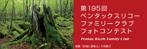 第195回　ペンタックスリコーファミリークラブフォトコンテスト 受賞作品