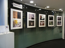 展示写真