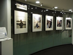 展示写真