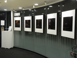 展示写真
