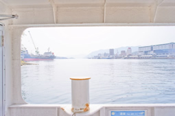 展示写真