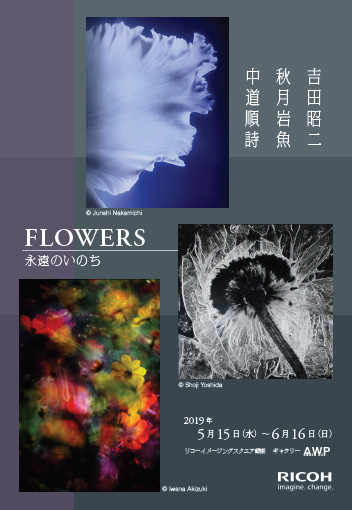 「FLOWERS-永遠のいのち-」