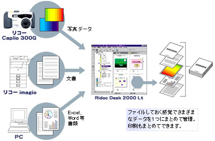 図