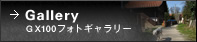 Gallery GX100�t�H�g�M�������[