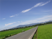 作例（水平が取れていないもの）