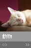 sample_03
