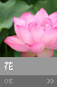 sample_05