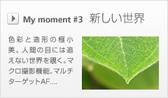 My moment #3 新しい世界 