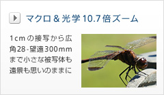 マクロ＆光学10.7倍ズーム