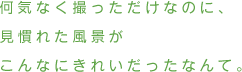 何気なく撮っただけなのに、見慣れた風景がこんなにきれいだったなんて。