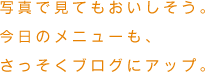 写真で見てもおいしそう。今日のメニューも、さっそくブログにアップ。