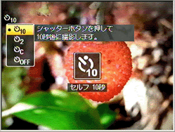 画像モニターにセルフタイマーモード一覧が表示されます