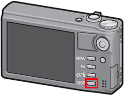 カメラの［ DISP. ］ボタンを押すことにより表示が切り替わります