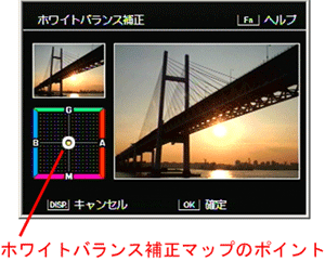 ADJ./OK ボタンを上下左右に押して、ホワイトバランス補正マップのポイントの位置を調整し、色調を補正します