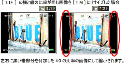 ［ 1:1F ］の画像は、横と縦の比率が同じです。この画像をリサイズした場合、左右に黒い帯部分を付加した 4:3 の比率の画像にして縮小されます