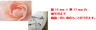 被写体まで 1 cm で撮影することができる接写機能 (マクロ機能) を搭載しています