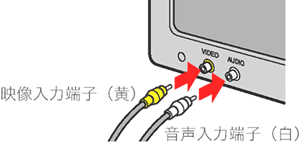 テレビのビデオ入力端子に AV ケーブルが正しく接続されているかどうかを確認します