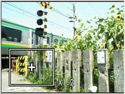 静止画再生時の拡大表示画面での表示倍率の変更