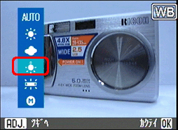 AUTO のマークが一瞬画面の中央に表示されるまで [フラッシュ] ボタンを押します