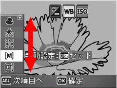 ADJ. モードの設定画面の選択ができます