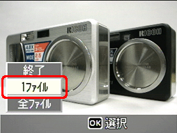 [1 ファイル] を選択して [MENU/OK] ボタンを押します