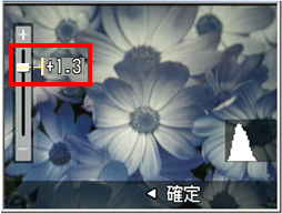 [▲] または [▼] ボタンを押して設定値を変更します。ここでは例としてプラス 1.3 に設定します。
